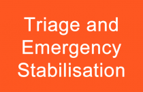 Triage and Initial Stabilisation of Emergency Cases