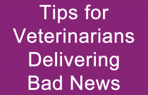 Tips for Veterinarians Delivering Bad News