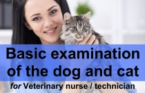 Basic examination of the dog and cat (veterinary nurse)