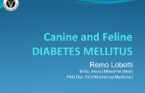 Diabetes Mellitus