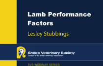 Lamb Performance Factors