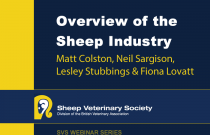 Overview of the UK Sheep Industry and Introduction to the webinar series