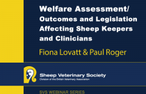 Welfare Assessment / Outcomes and Legislation affecting Sheep Keepers and Clinicians