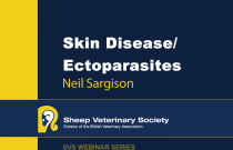 Skin Diseases / Ectoparasites