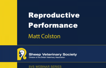 Reproductive Performance