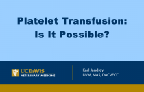 Platelet Transfusion: Is It Possible?