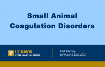Small Animal Coagulation Disorders