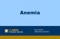 Anemia