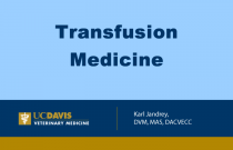 Transfusion Medicine