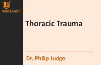 The Approach to the Patient with Thoracic Trauma