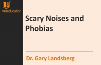 Scary Noises and Phobias