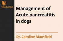 Acute pancreatitis in dogs