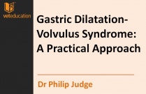 Gastric Dilatation-Volvulus Syndrome: A Practical Approach