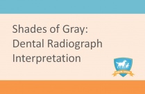 Interpretation of Dental Radiographs