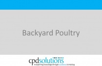 Backyard Poultry