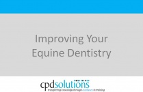 Improving Your Equine Dentistry