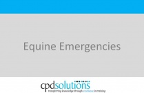 Equine Emergencies