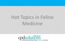 Hot Topics in Feline Medicine
