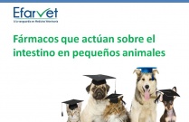 Fármacos que actúan sobre el intestino en pequeños animales
