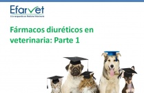 Fármacos diuréticos en veterinaria, Parte 1