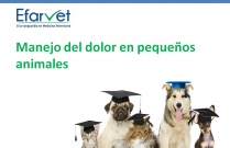 Manejo del dolor en pequeños animales