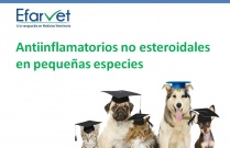 Antiinflamatorios no esteroidales en pequeñas especies