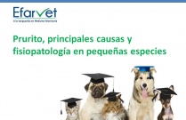 Prurito, principales causas y fisiopatología en pequeñas especies