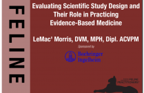 Evaluating Scientific Study Designs and Their Role in Practicing Evidence-Based Medicine