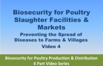 Biosecurity for Poultry Slaughter Facilities & Markets - Video 4 from Biosecurity for Poultry Production & Distribution 6 Part Video Series