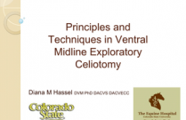 Principles and Techniques in Ventral Midline Exploratory Celiotomy