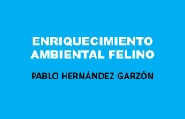 Enriquecimiento ambiental felino