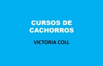 Cursos de cachorros
