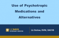 Use of Psychotropic Medications and Alternatives