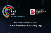 Module 8 – Heartworm Treatment Part 2