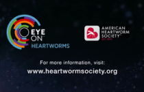 Module 2 - Heartworm Prevention Part 2