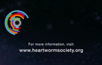 Module 3 - Heartworm Prevention Part 3