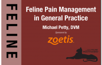 Feline Pain Management in General Practice