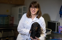 Endocrinopathy and the Eye