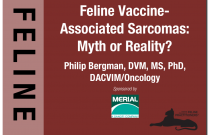 Feline Vaccine-Associated Sarcomas: Myth or Reality?