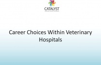 Career Choices Within Veterinary Hospitals