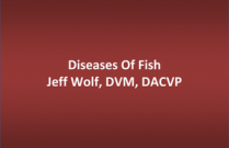 Diseases of Fish
