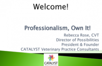 Professionalism, Own It