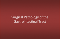 Surgical Pathology of the Gastrointestinal Tract