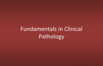 Fundamentals in Clinical Pathology