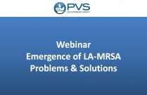 Webinar - Emergence of LA-MRSA Problems and Solutions