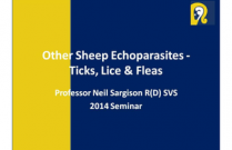 Other Sheep Echoparasites - Ticks, Lice & Fleas