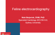 Feline Electrocardiography