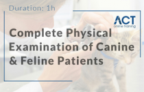 Complete Physical Examination of Canine and Feline Patients