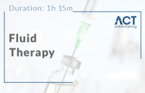 Fluid Therapy