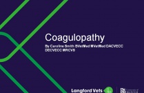 Coagulopathy